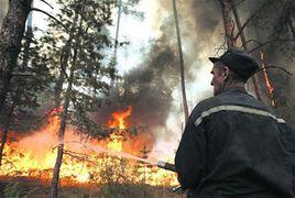 2010年俄羅斯森林大火