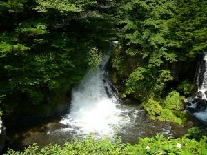 臨川茅排芙蓉山