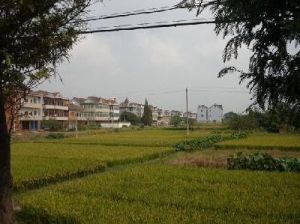 葉新村