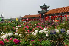 百花園[菏澤百花園]