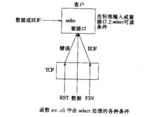 str函式