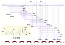 藥物生物合成