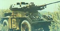 （圖）狐式輕型輪式裝甲偵察車 