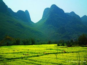 茶洞鄉