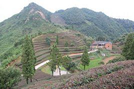 香鋪村[安徽省六安市金寨縣桃嶺鄉香鋪村]