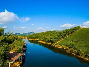 妙山村[安徽省淮南市八公山鎮下轄村]