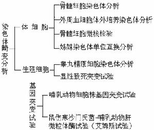 致突變作用