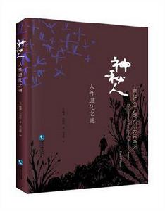 神秘人[[美]戴維·巴拉什所著書籍]