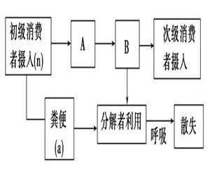 初級消費者