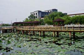 西塘村[福建省福州市永泰縣東洋鄉下轄村]