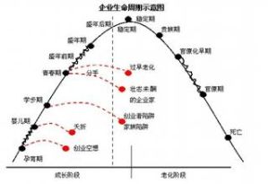  組織生命周期理論