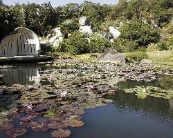 廈門萬石植物園