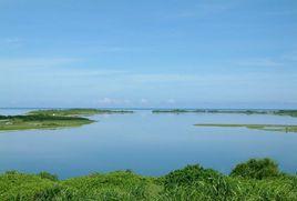 東沙島[中國東海中的沙洲]