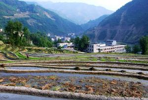 洄水鎮田園