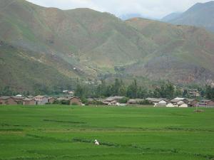 田樂村