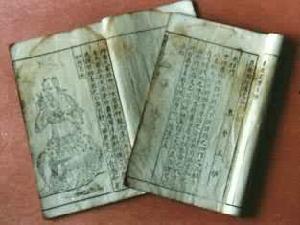 《王禎農書》