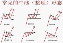 整理形態