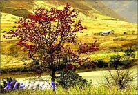 雲南:醉人的怒江春色 雲南:醉人的怒江春色