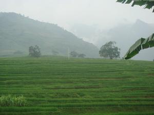 訓練中寨村山林