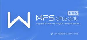 WPS Office