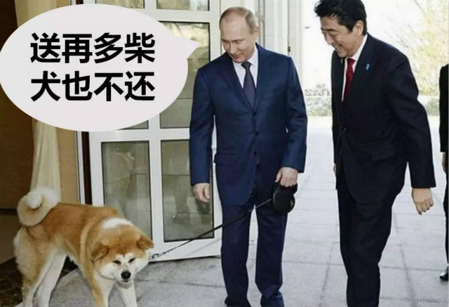 普京和安倍