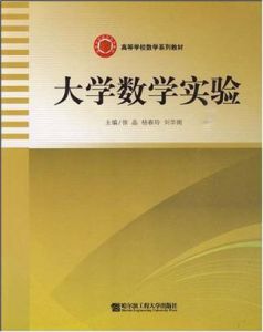 大學數學實驗[哈爾濱工程大學出版社圖書]