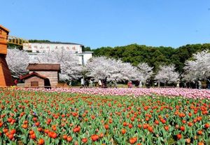 上方山國家森林公園[蘇州]