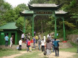 大龍山國家森林公園