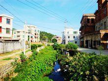 梅山村[福建省泉州市惠安縣螺城鎮梅山村]