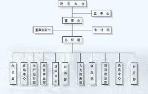 南京石油化工股份有限公司