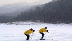 回龍山滑雪場