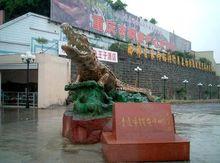 重慶市鱷魚中心