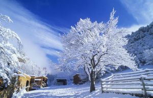 雪景