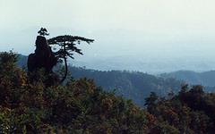 鷲峰山