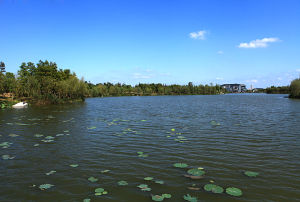 豐阜濕地公園