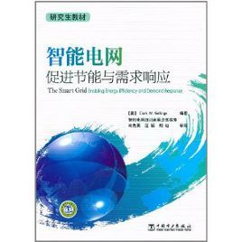 智慧型電網：促進節能與需求回響