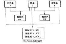 圖1 浮選藥劑結構模型框圖