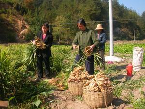 營山縣三興鎮