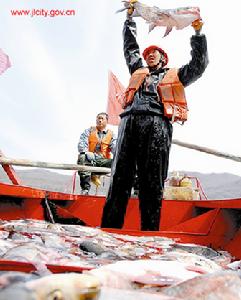 開江魚美食超人