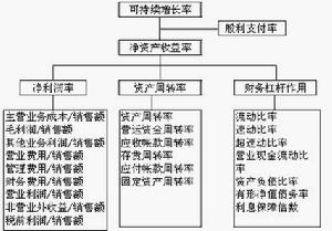 帕利普財務分析體系