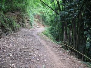 進村道路