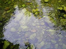 少華山國家森林公園風景