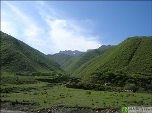 太山廟鄉