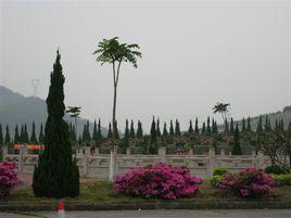 大洋山陵園