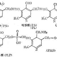 重酒石酸膽鹼