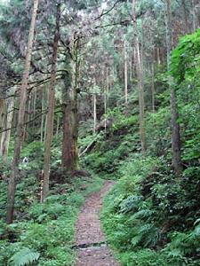 高野山町石道