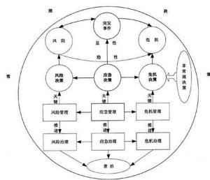 程式性決策