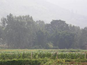 雷車村