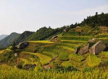 虎形山-花瑤風景名勝區