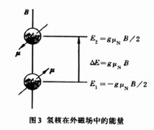 核自鏇與核磁矩